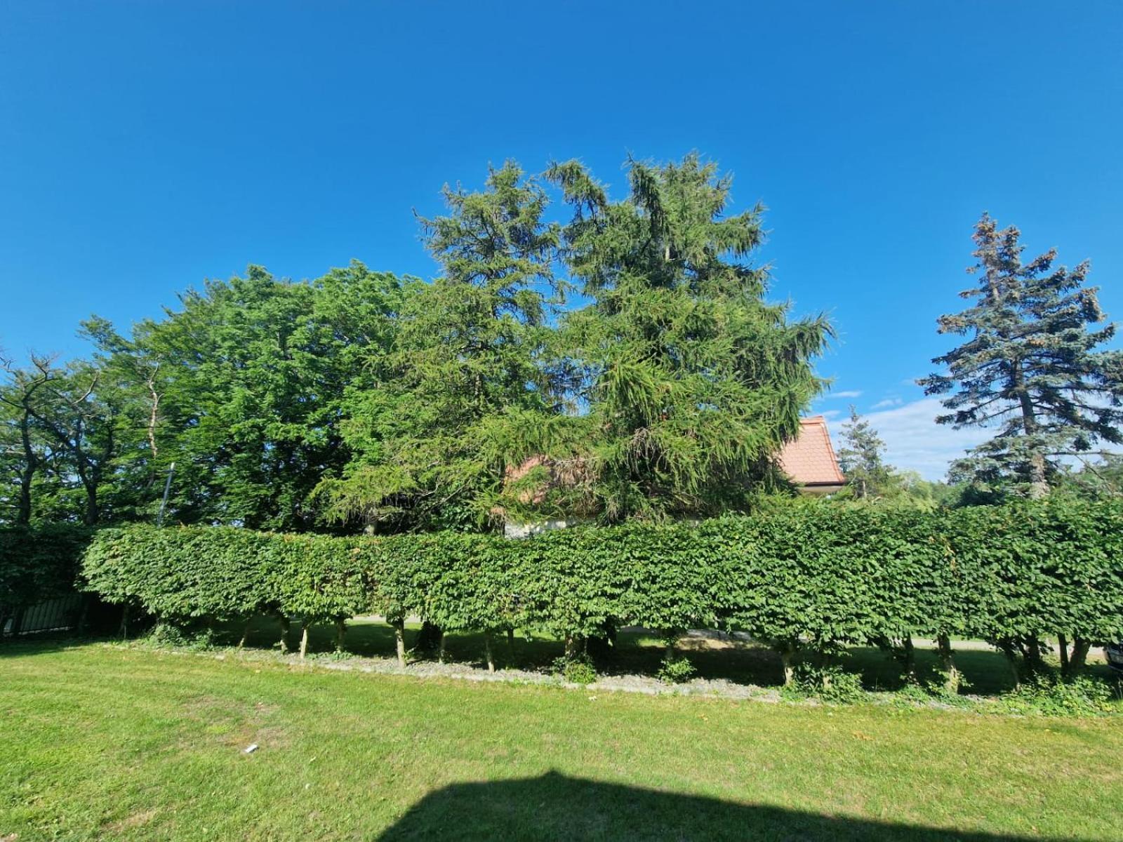 Osrodek Promenada- Domki Jastrzebia Gora Exterior photo